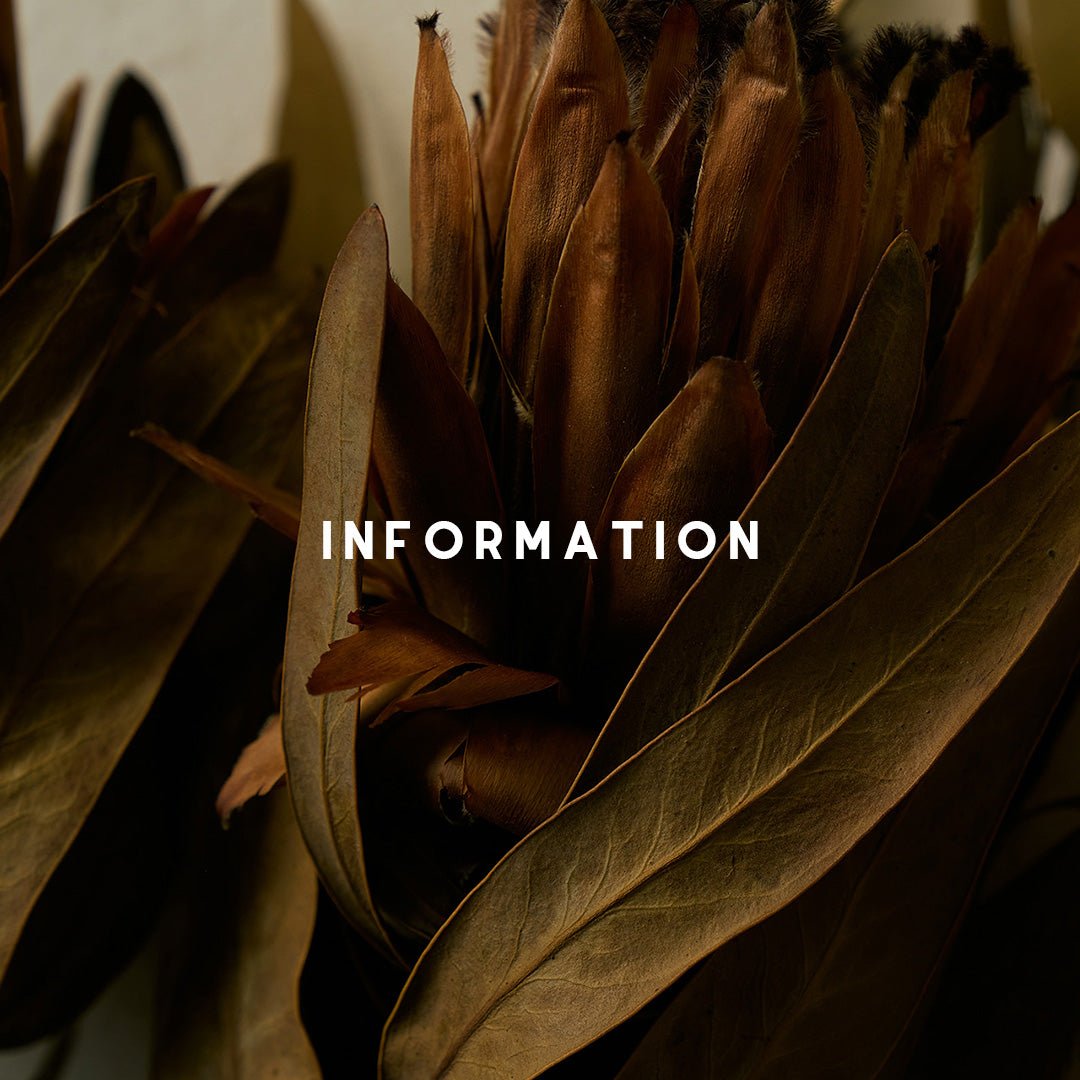 1月休業日のお知らせ - HEO tokyo vintage