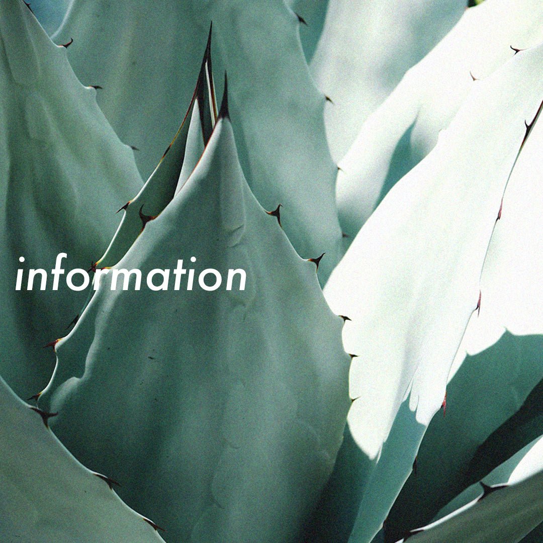 休業日のお知らせ 📢 - HEO tokyo vintage